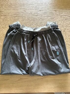 Free People Jogger Sweatpants